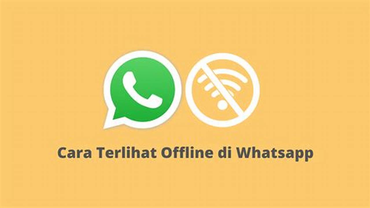 Cara Terlihat Offline di WhatsApp