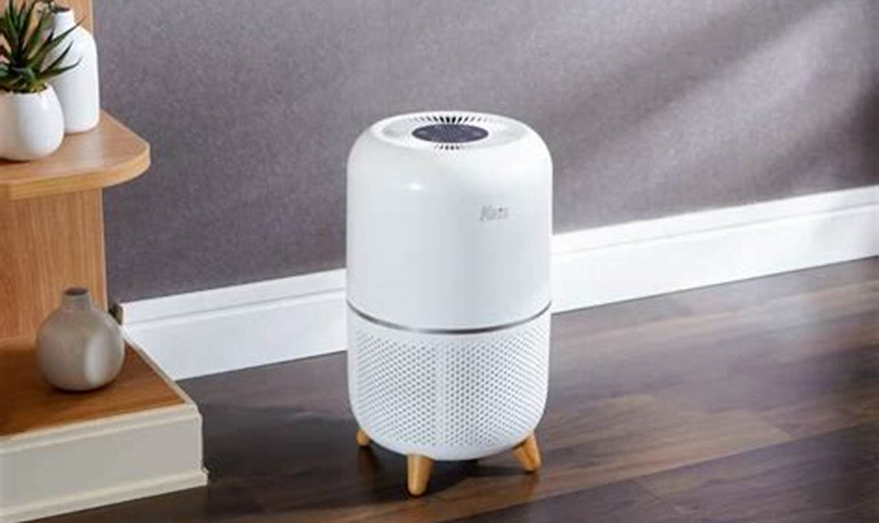 Air Purifier Terbaik