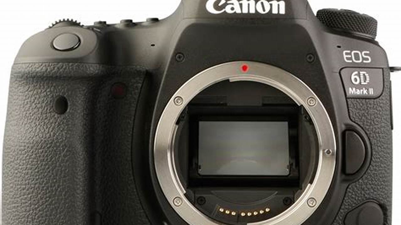 Canon EOS 6D Mark II, Rekomendasi