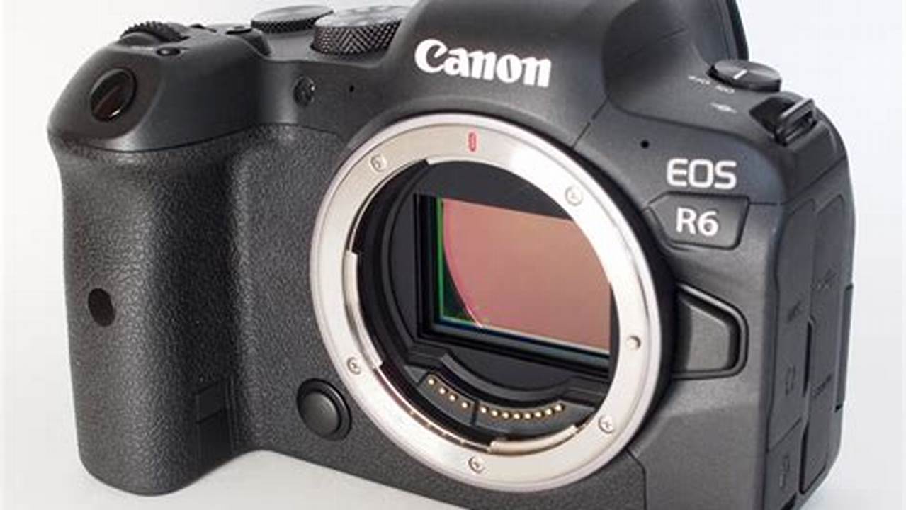 Canon EOS R6, Rekomendasi