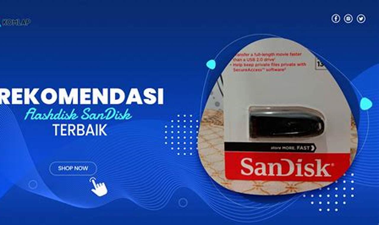 Flashdisk Sandisk Terbaik