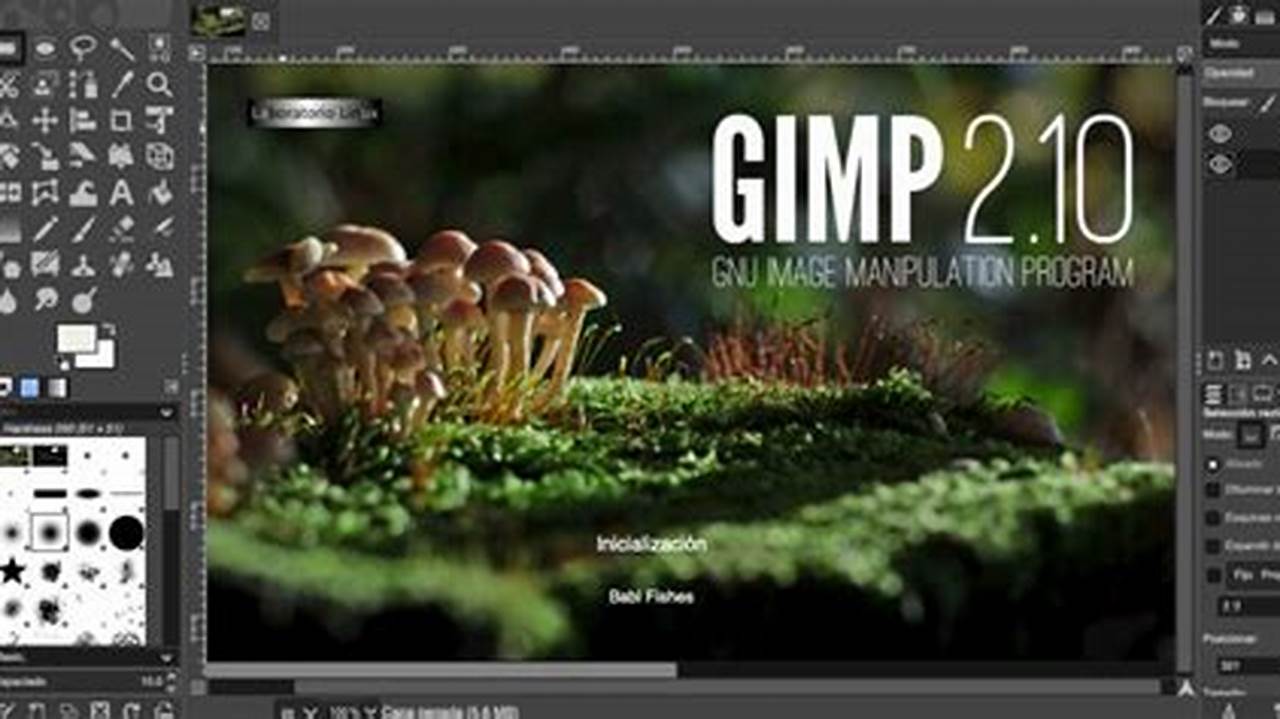 GIMP, Rekomendasi