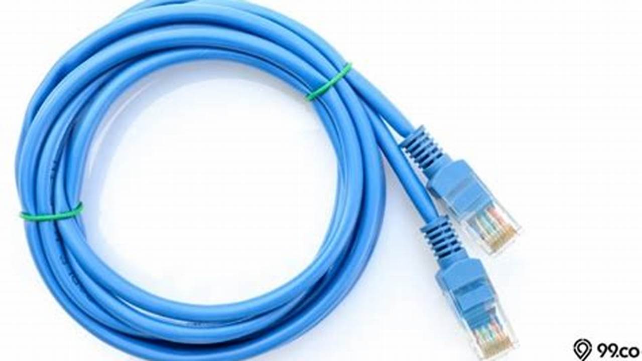 Kabel LAN Hybrid Dari Leviton, Rekomendasi