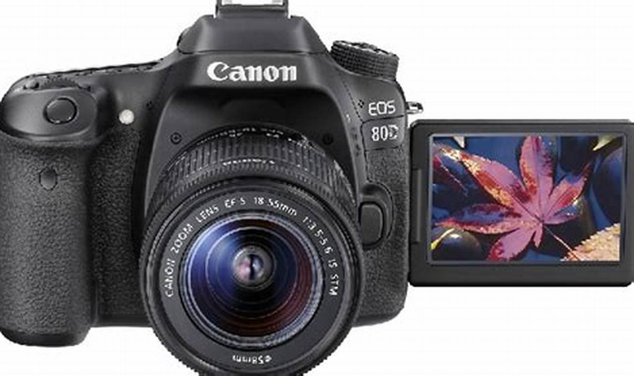 Kamera Canon Terbaik