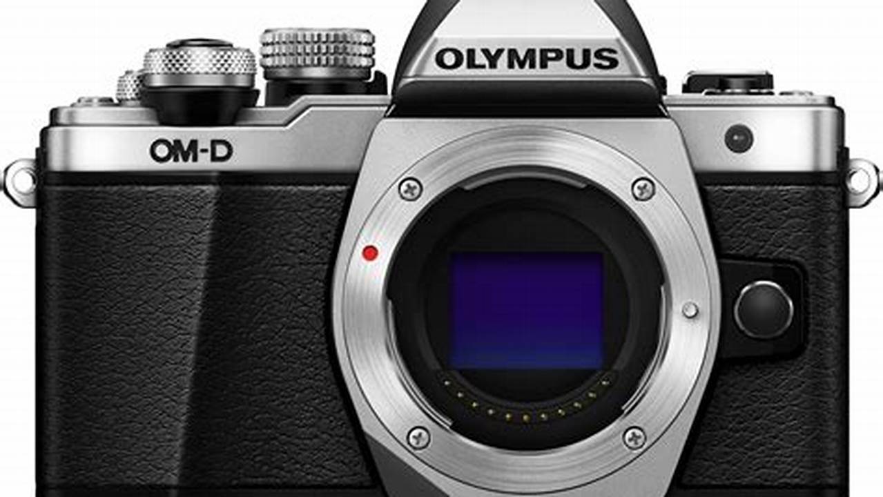 Kamera Mirrorless Olympus E-M10 Mark II, Rekomendasi