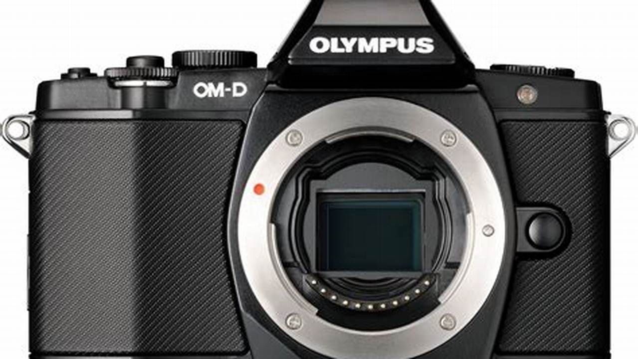 Kamera Mirrorless Olympus E-M5, Rekomendasi