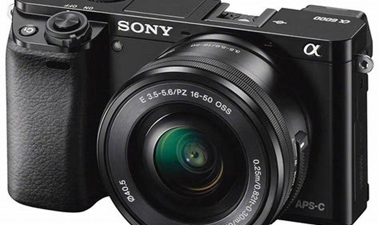 Kamera Mirrorless Sony