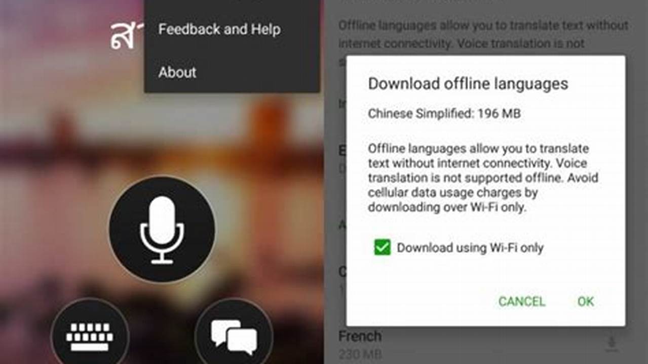 Kamus Microsoft Translator Offline, Rekomendasi