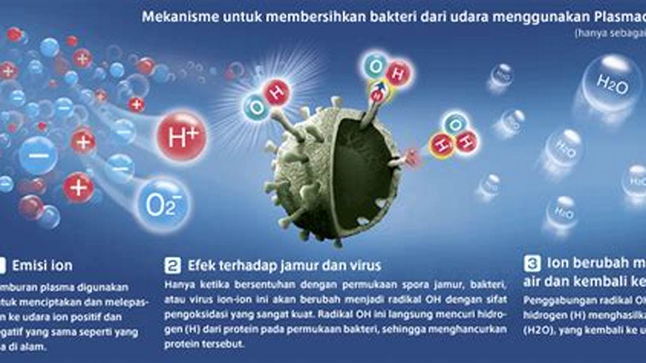 Memiliki Teknologi Plasmacluster Ion Yang Dapat Membunuh Bakteri Dan Virus., Rekomendasi