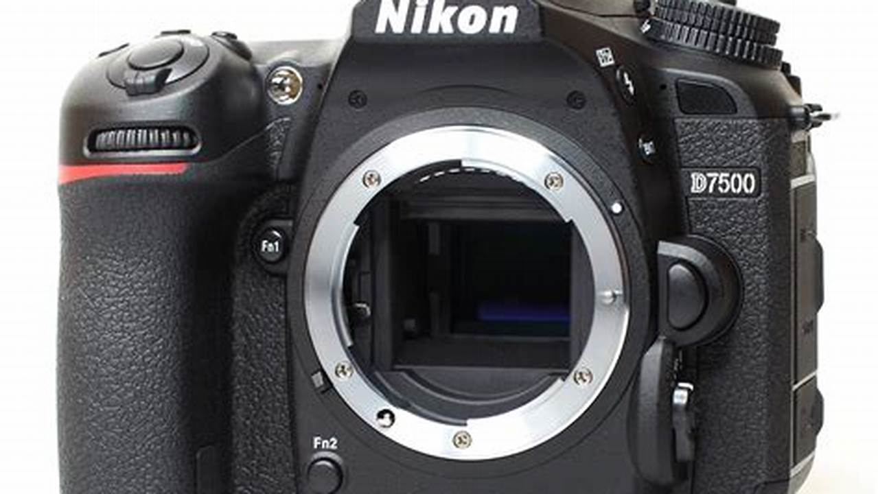 Nikon D7500, Rekomendasi