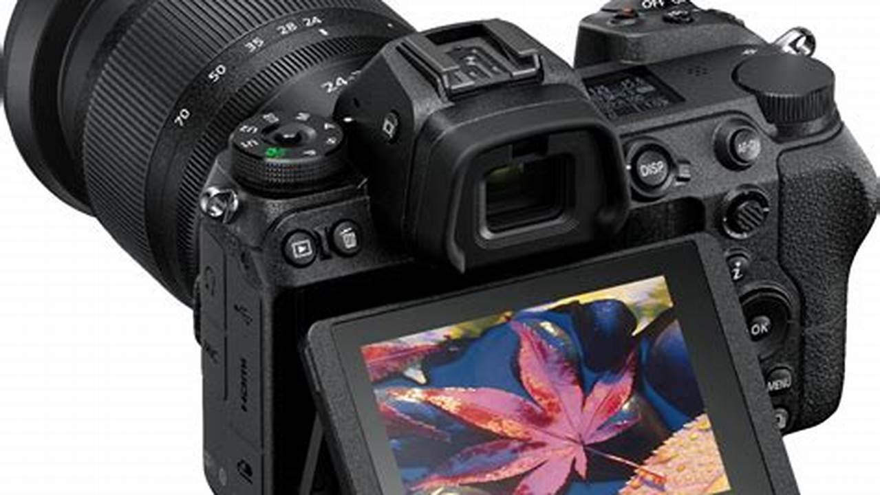 Nikon Z6, Rekomendasi