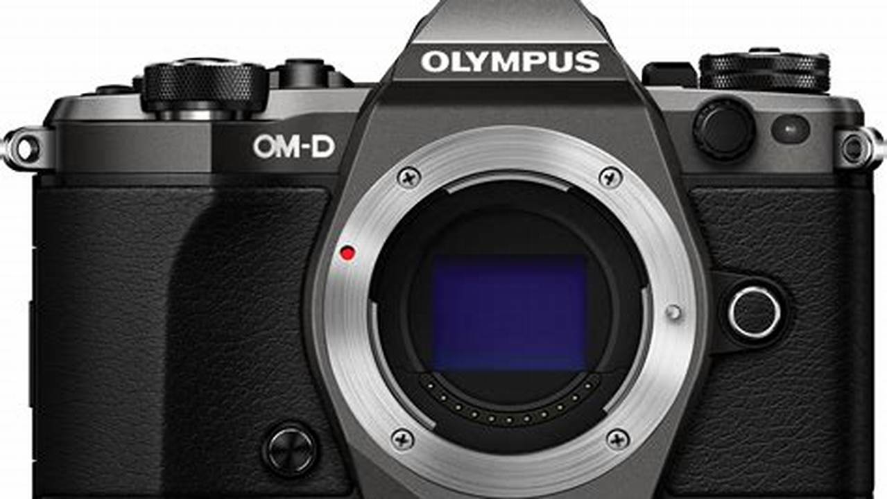 Olympus E-M5 Mark II, Rekomendasi