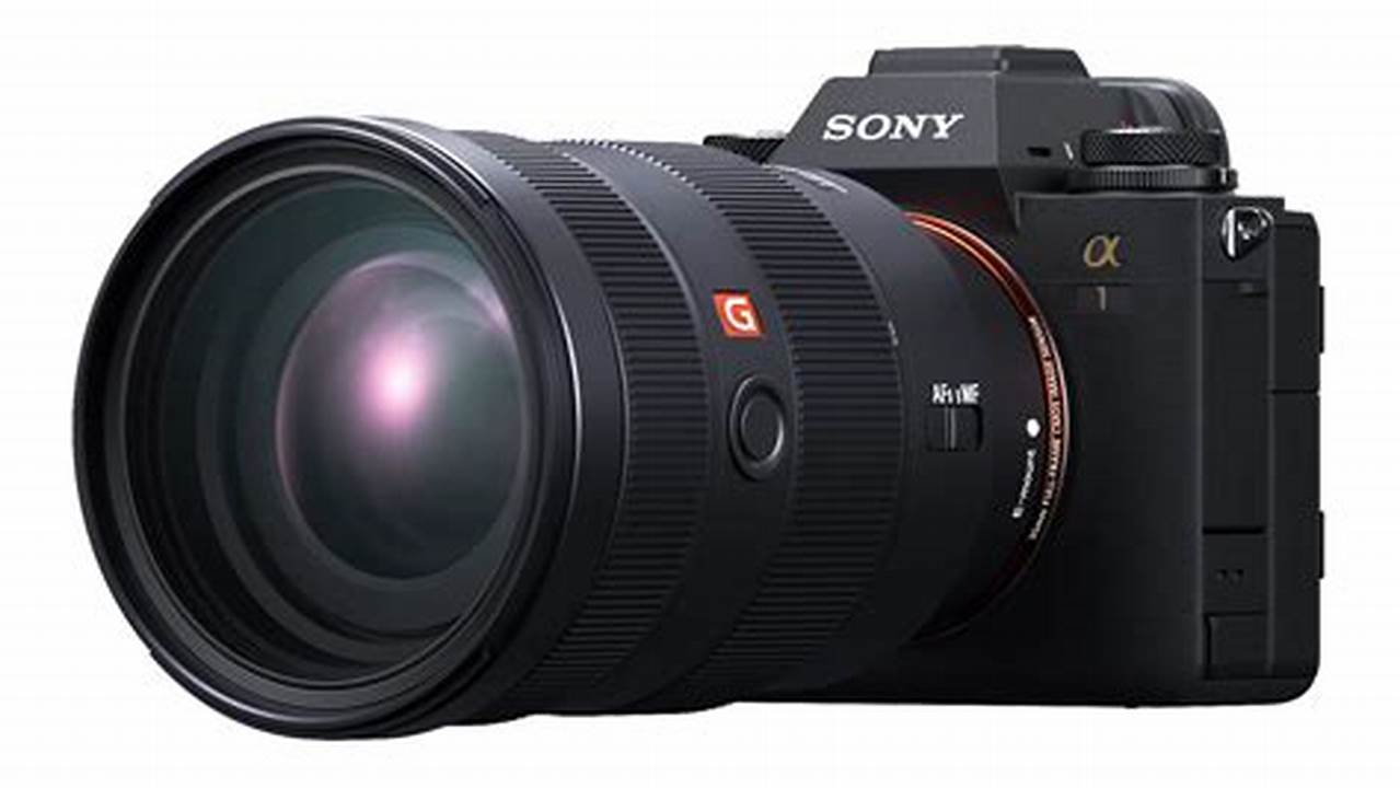 Sony Alpha 1, Rekomendasi