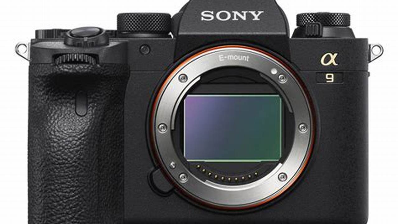 Sony Alpha 9 II, Rekomendasi