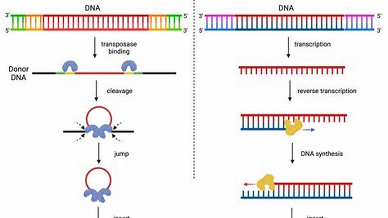 Transposable, Rekomendasi